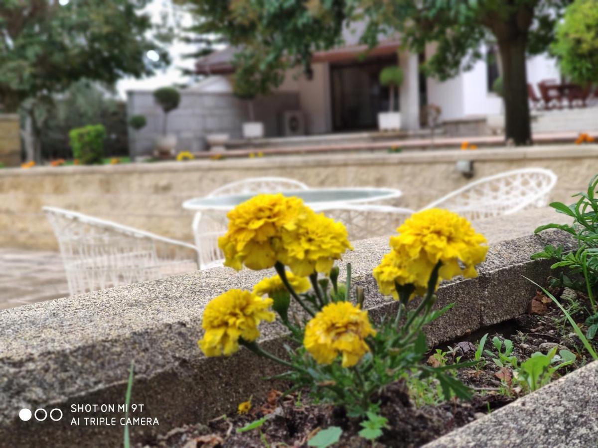 Villa Blanca Con Piscina A 15 Minutos De Toledo - Apartamentos Aloha Toledo Olías del Rey Εξωτερικό φωτογραφία